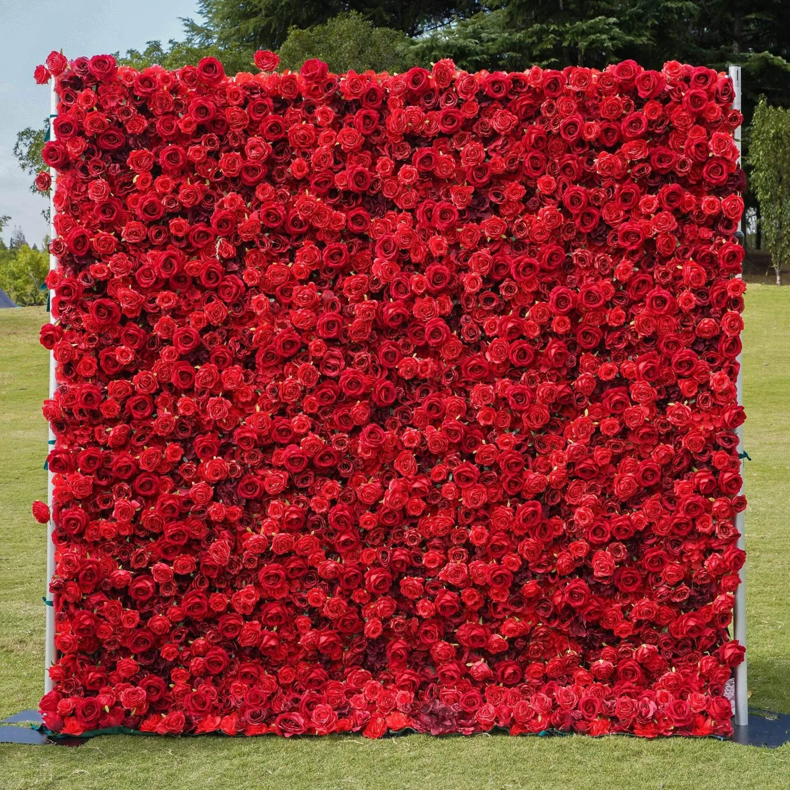 crimson passion flower wall